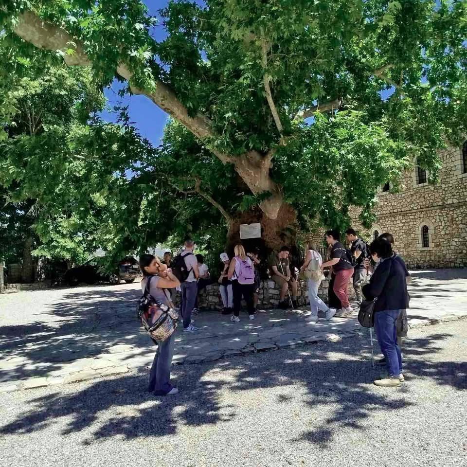 Ο ιστορικός Πλάτανος στη Μονή Αγίας Λαύρας