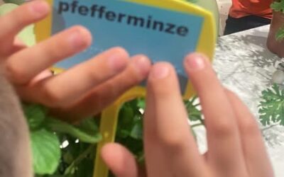 ωφελούμενος διαβάζει σε εκτύπωση braille τη γερμανική λέξη “pfefferminze”.