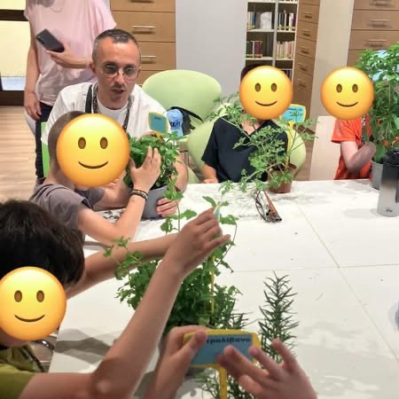 ωφελούμενοι ψηλαφίζουν βότανα